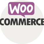 Wordpress Woocommerce website developments service in Delhi